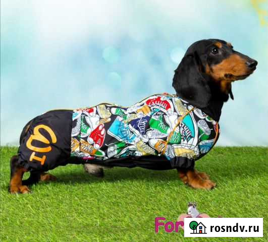 Комбинезон на таксу Ульяновск - изображение 1