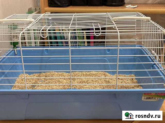 Клетка для кролика и крыс Усть-Илимск - изображение 1