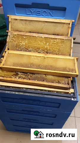 Сушь для пчел магазинная 145мм Новокузнецк - изображение 1