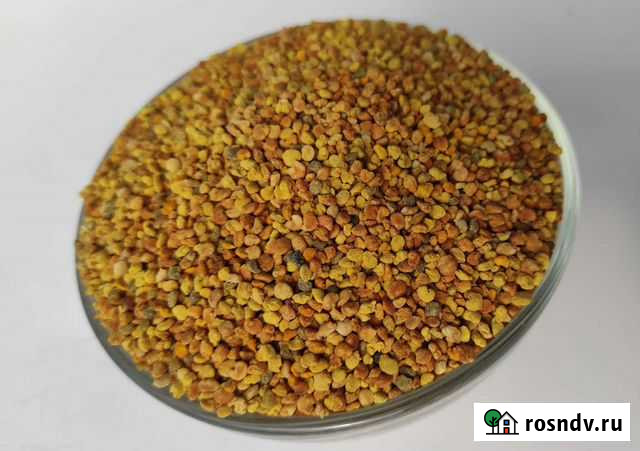 Пыльца. Перга Курск - изображение 1