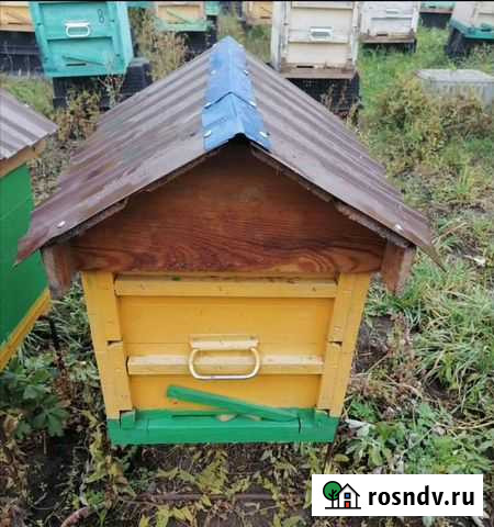 Улей для пчел Бирск - изображение 1