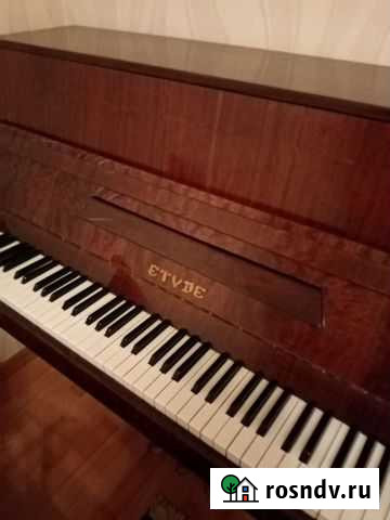 Пианино этюд Каменск-Уральский - изображение 1
