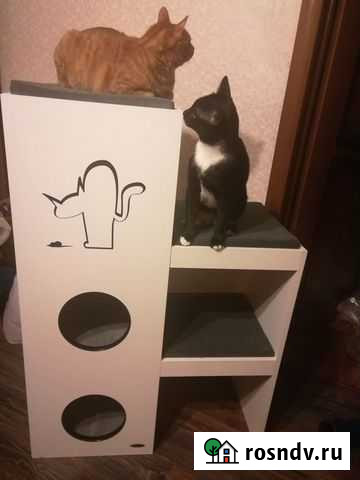 Комплекс полка для кошек Тверь - изображение 1