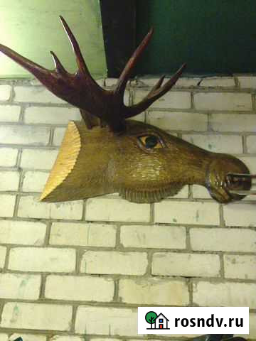 Рога лося Чудово - изображение 1