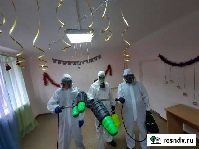 Травим клопов, тараканов, мышей. Гарантия Ростов-на-Дону - изображение 1