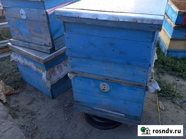 Ульи 3 шт. б/у Новодмитриевская - изображение 1