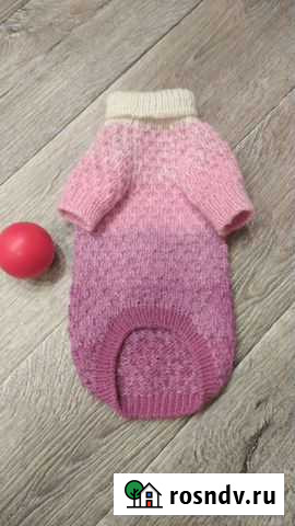 Одежда для маленьких собак Ульяновск - изображение 1