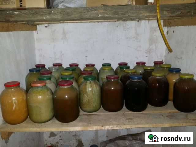 Мед Горячий Ключ - изображение 1