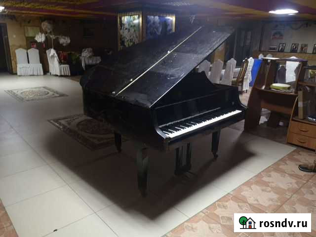 Рояль Сургут - изображение 1