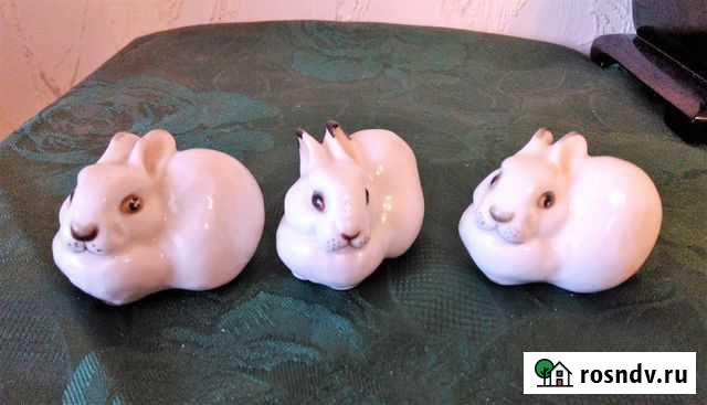 Зайцы лфз Иваново - изображение 1