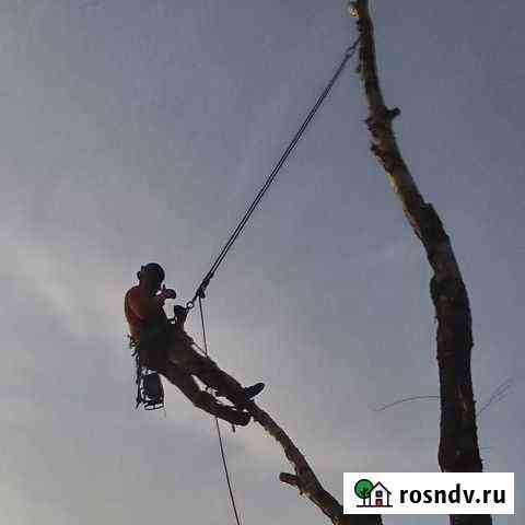 Удаление деревьев Щекино