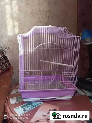 Клетка Анапа - изображение 1