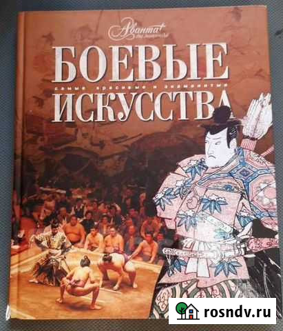 Боевые искусства. Самые красивые и знаменитые Курск - изображение 1