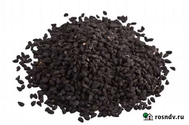 Семена черного тмина Египет 100г Ростов-на-Дону - изображение 1