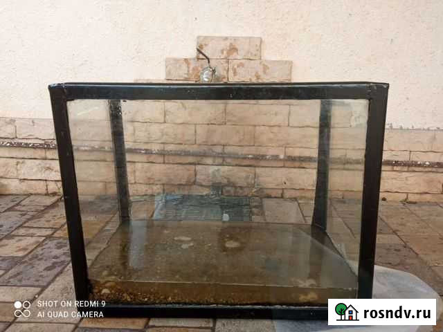 Аквариум Выселки - изображение 1