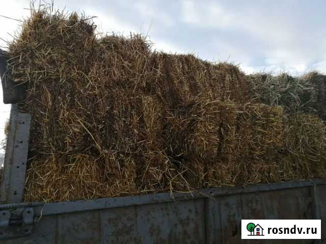 Солома Донской - изображение 1