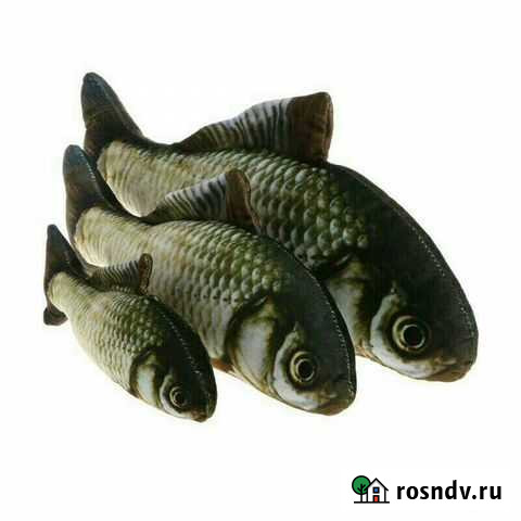 Игрушка для кошек Киров - изображение 1