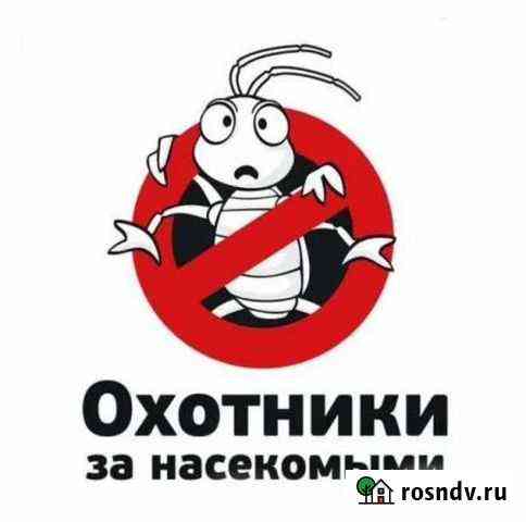 Профессиональная обработка от клопов, тараканов, м Красноярск