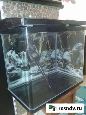 Аквариум 60л и 20л Ростов-на-Дону - изображение 1