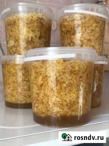 Продукты пчеловодства Калининград - изображение 1