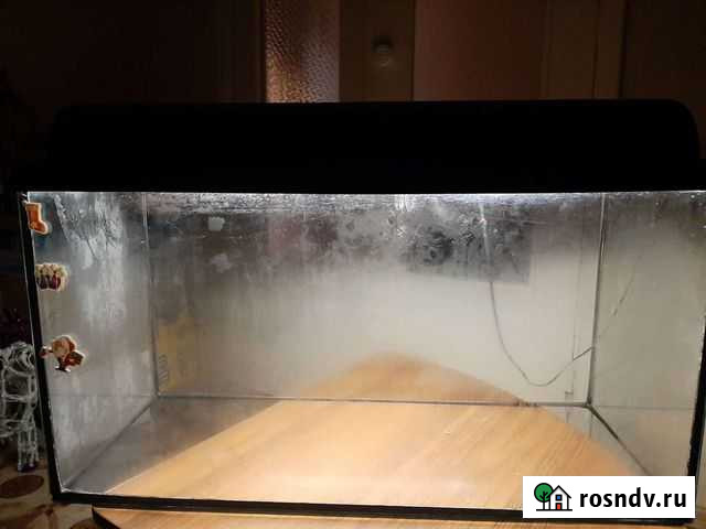 Аквариумные рыбки Североморск - изображение 1