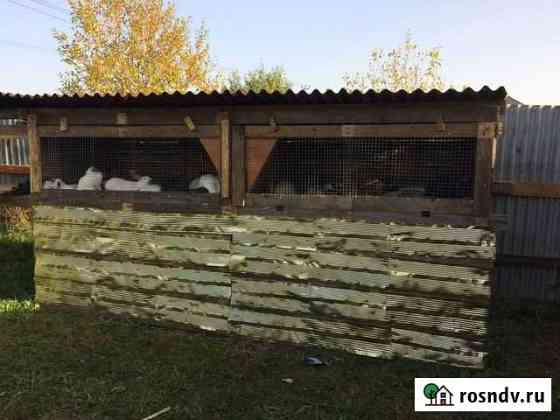 Построю кроличьи клетки Волосово