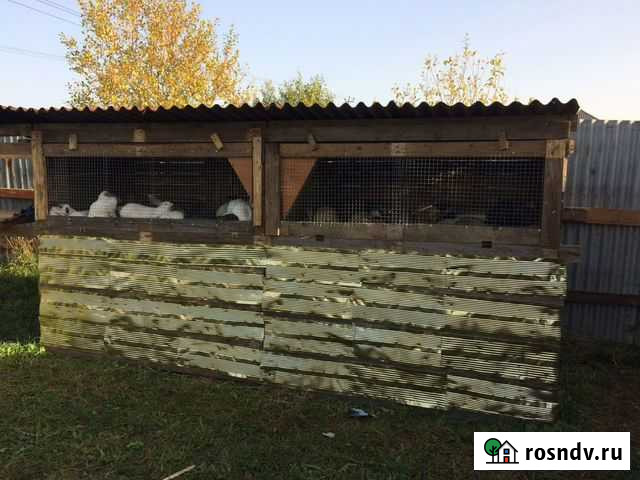 Построю кроличьи клетки Волосово - изображение 1