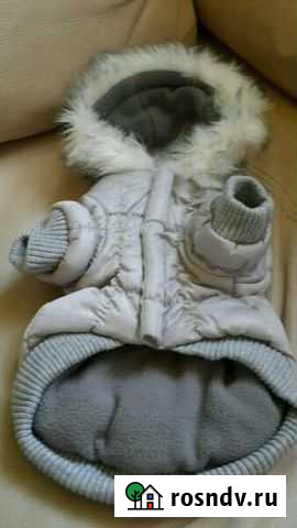 Комбез для собачки Мурманск - изображение 1