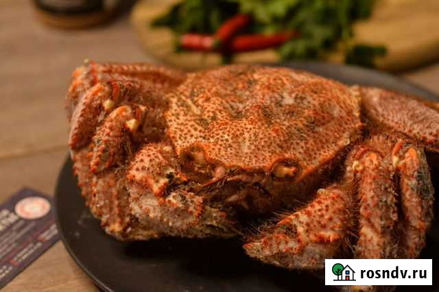 Краб Анапа - изображение 1