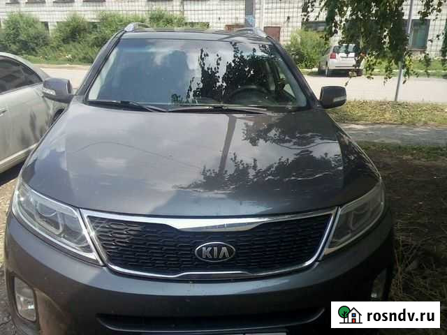 Трезвый водитель Камень-на-Оби - изображение 1