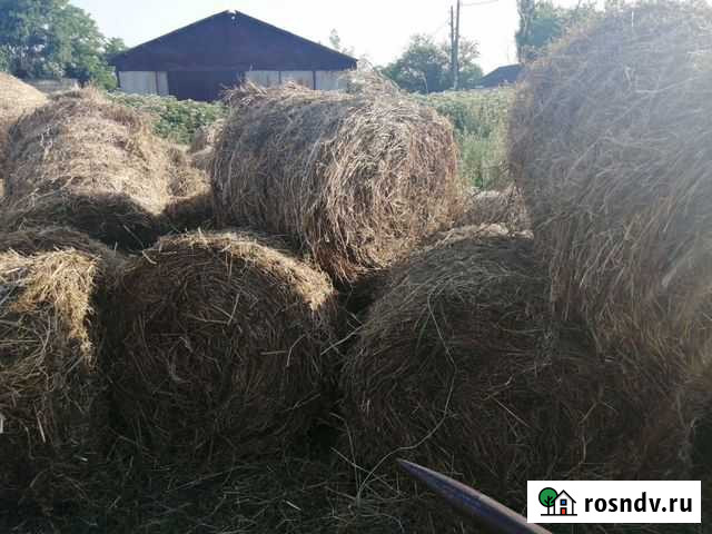 Сено в рулонах Березанская - изображение 1