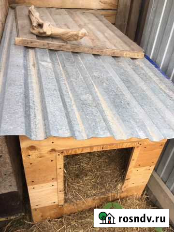 Будка Новосибирск - изображение 1