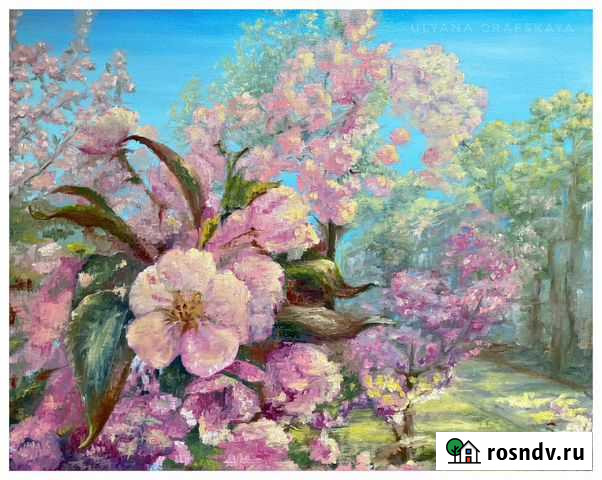 «Камчатская яблоня» картина маслом 40*50 см Елизово - изображение 1