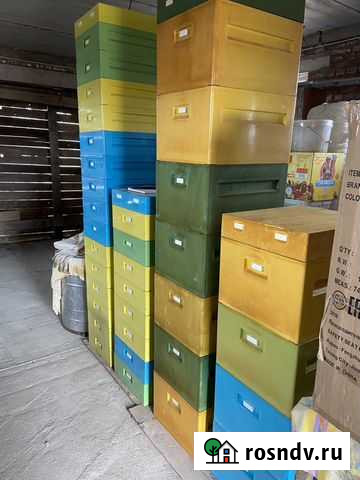 Продажа, аренда ульев из ппу, продажа пчелосемей Благовещенск - изображение 1