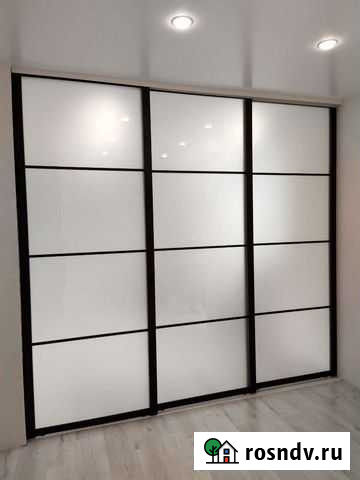 Двери/раздвижные/перегородки/лофт (арт2020) Тюмень - изображение 1