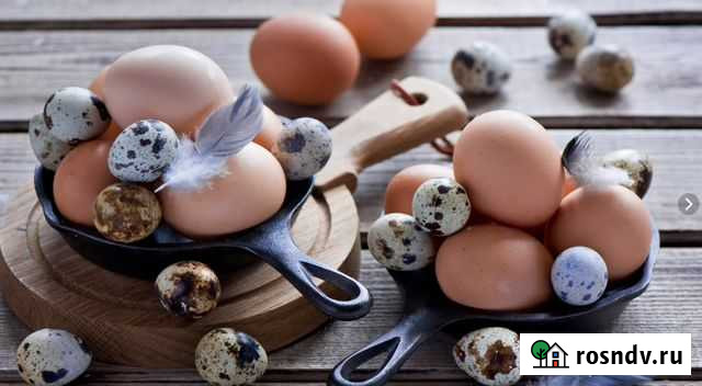 Яйцо куринное, перепелинное Воронеж - изображение 1