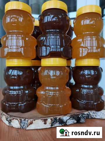 Алтайский мед Горный и Разнотравье Красноярск - изображение 1