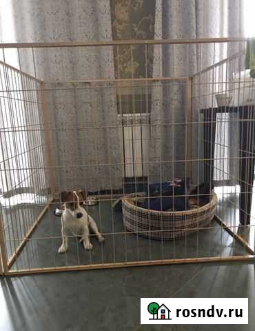 Вольер Барнаул - изображение 1