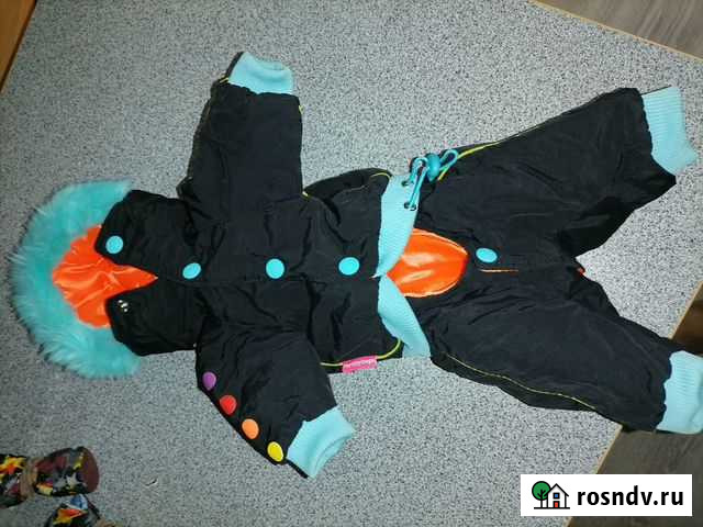 Костюм для тойчика Омск - изображение 1