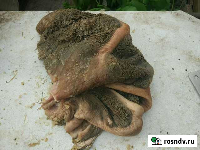 Рубец говяжий натуральный корм мясо для собак Челябинск - изображение 1