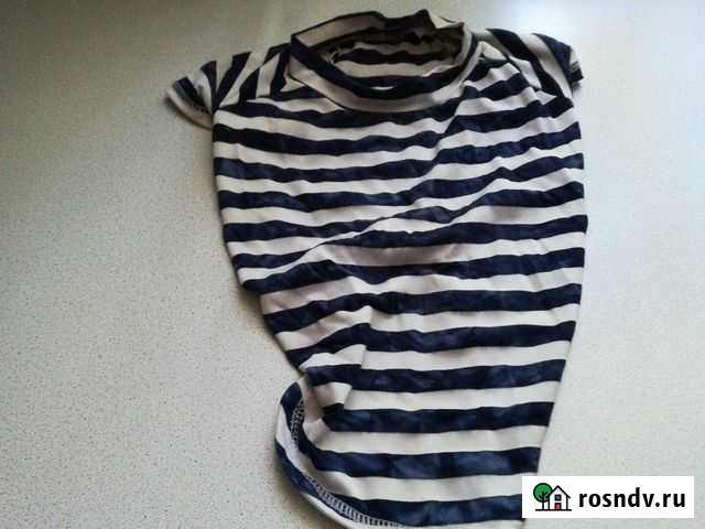 Футболка для собаки. 100 есть переноска для собаки Брянск - изображение 1