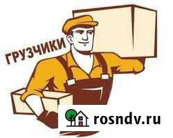 Грузчик разнорабочий Жуков - изображение 1