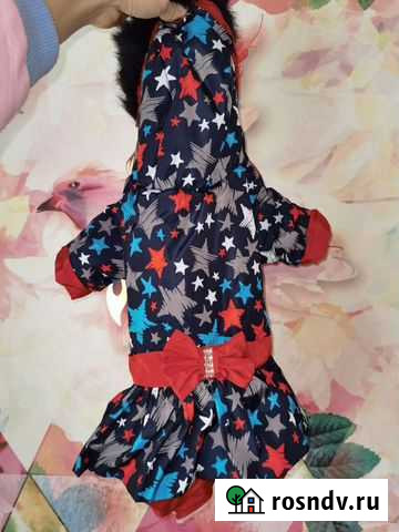 Одежда для собак зимняя Серпухов - изображение 1