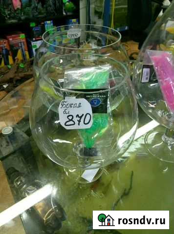 Аквариумы-бокалы и круглые Курск - изображение 1