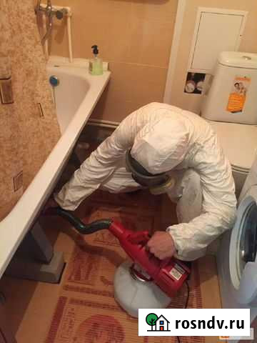 Уничтожение клопов, тараканов. Гарантия Липецк - изображение 1