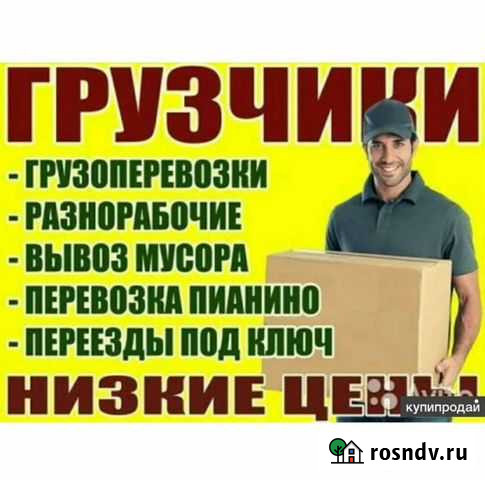 Грузчики и переезды Кинешма - изображение 1