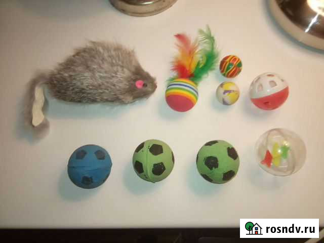 Кошачьи игрушки пакетом Владимир - изображение 1