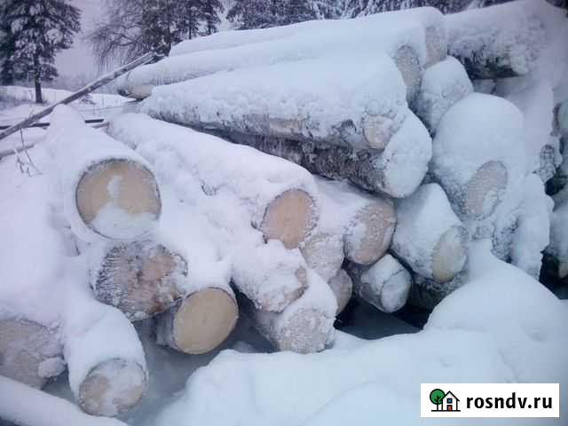 Спичосина закуп Белая Холуница - изображение 1