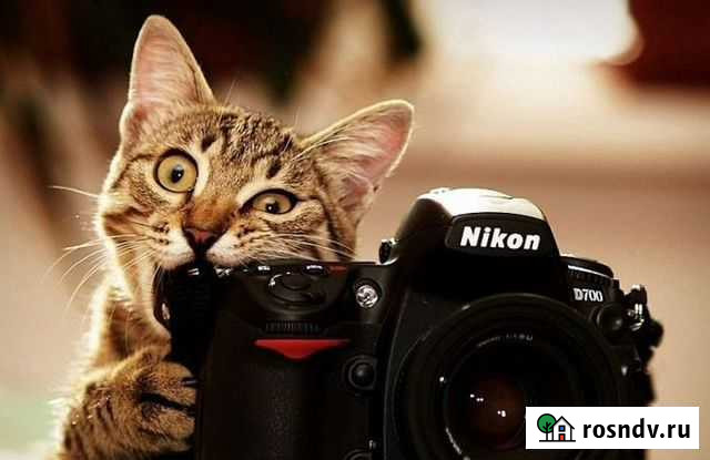 Ваш личный фотограф Хабаровск - изображение 1