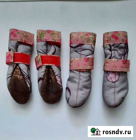 Обувь для собачки мелкой породы размер S Омск - изображение 1